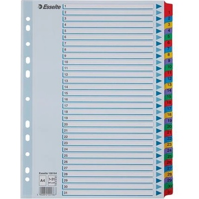 ESSELTE Регистър Esselte MYLAR 1-31, A4 (100164)