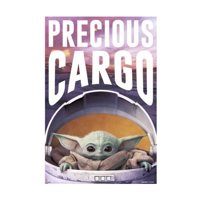 Plagát Star Wars: Mandalorian - Precious Cargo (142)