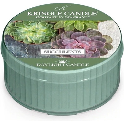 Kringle Candle Succulents 35 g