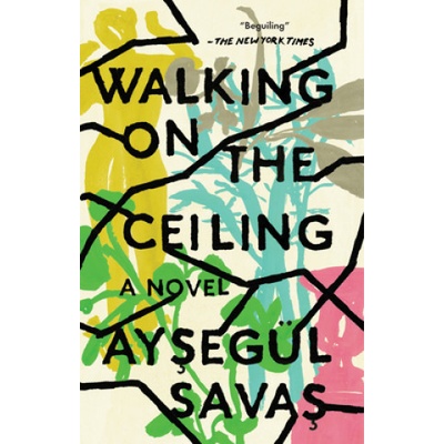 Walking On The Ceiling | Aysegul Savas