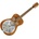 Epiphone Dobro Hound Dog Deluxe Round Neck
