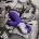 Satisfyer Magic bunny rabbit