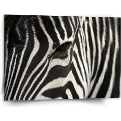 Sablio Obraz Detail zebra - 150x110 cm