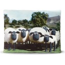 Popron Baránok Shaun