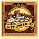 Ernie Ball 2010