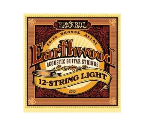 Ernie Ball 2010