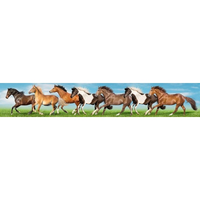Dimex KI350-111 Fototapeta za linku Horses rozměry 350 x 60 cm