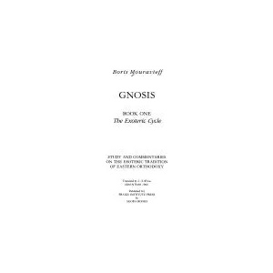 Gnosis | Robin Amis, Sadek Wissa (ISBN: 9781872292106)