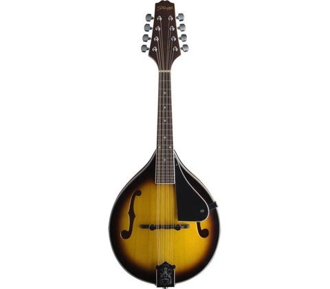 Stagg M40 S