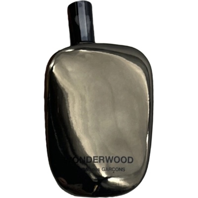 Comme des Garcons Wonderwood parfémovaná voda pánská 100 ml
