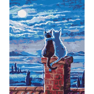 zuty Malování podle čísel Kočky na střeše a měsíc 80 x 100 cm vypnuté plátno na rám 8596530061199