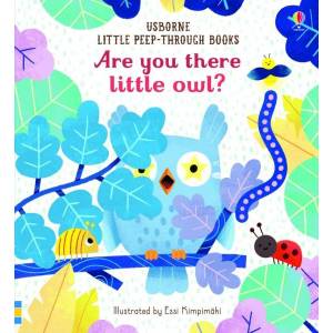 Are you there little Owl? | Sam Taplin, Essi Kimpimaki (ISBN: 9781474966863)