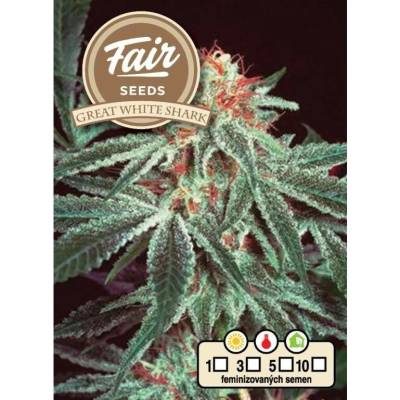 Fair Seeds Great White Shark semena neobsahují THC 10 ks