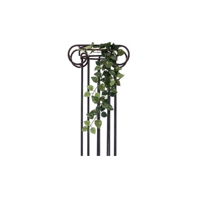 Pothos trs střední, 70 cm