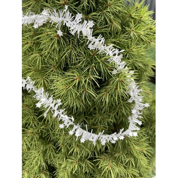 Sempro Vianočná girlanda 090749 biele hviezdičky 7 metrov