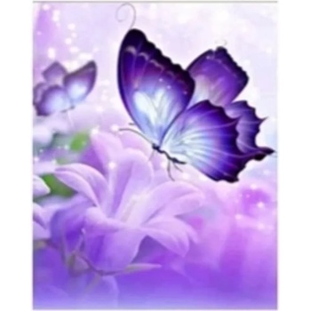 Image 1 of Пеперуда 15/15см