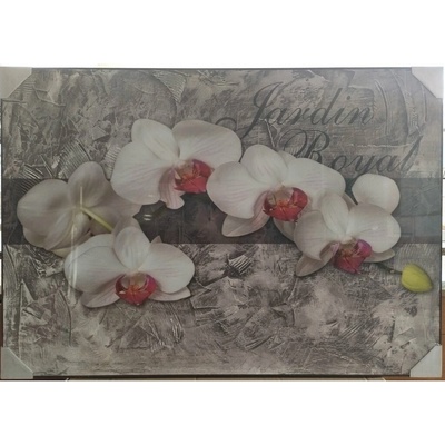 Bondecor Obraz "Orchidej" - tisk na papír na MDF desku,100x70cm