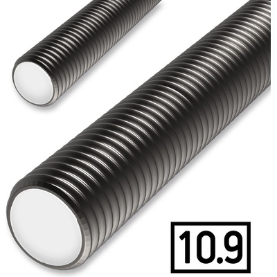 HASPL Závitová tyč M10x1000, 10.9 bez povrch. úpravy