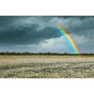 DIMEX ART Флизелинов фототапет дъга над поле с лайка 375 x 250 см