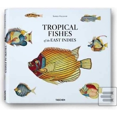 Samuel Fallours: Tropical Fishes of the East Indies - Theodore W. Pietsch