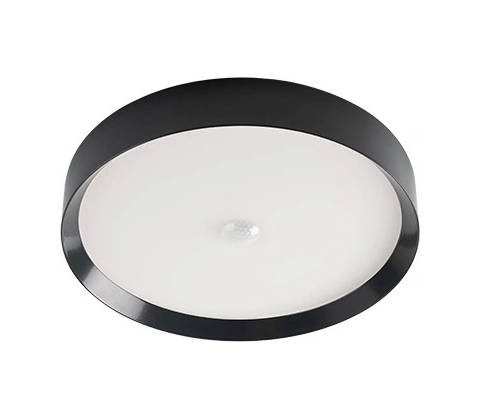 Loxone 100289
