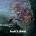 It never ends - Maceration LP