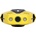 Chasing Dory Chasing 590539107