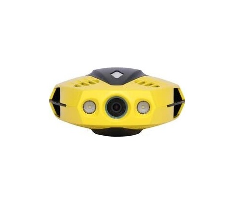 Chasing Dory Chasing 590539107