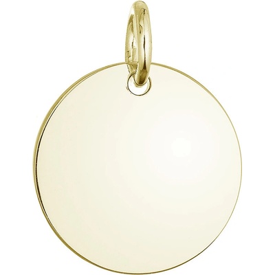Evolution Group Pozlacený stříbrný přívěsek placička větší 64093