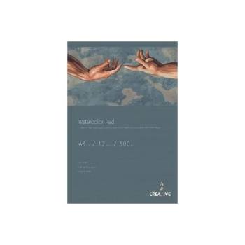 Eurocom Акварелен пад Creative Art А3 300г 12л