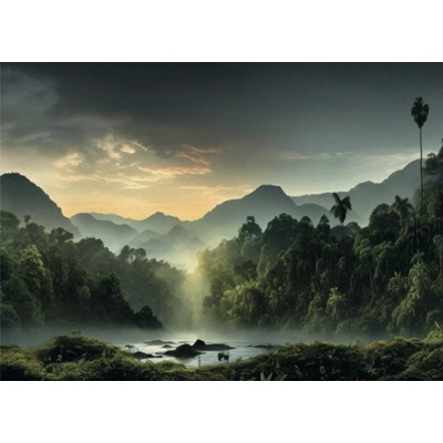Obraz Decopanel Rainforset 136x98cm