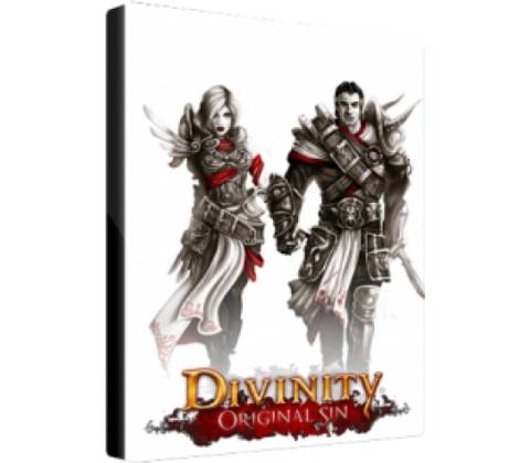 Divinity Original Sin