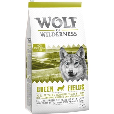 Wolf of Wilderness Senior Green Fields jahňacie 2 x 12 kg
