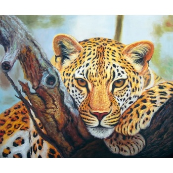 Diamond dotz Леопардов поглед - диамантен гоблен dd7.002