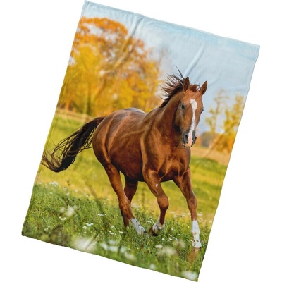 BedTex Deka mikroplyš Ryzák na lúke 150x200