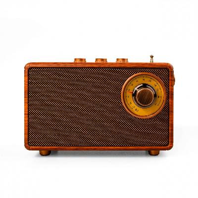 Bluetooth радио колонка Ashu AS23, 5W, 1500mAh, Кафяв