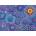 Ravensburger - Puzzle Celestial Constellations - 1 000 piese