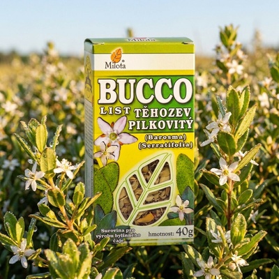 Milota Bucco Těhozev pilkovitý list 40 g