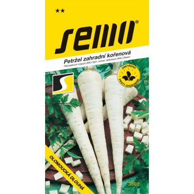 Semo koreň petržlenu - Olomoucká dlhá 3g