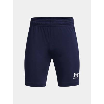 Under Armour modrá modrá