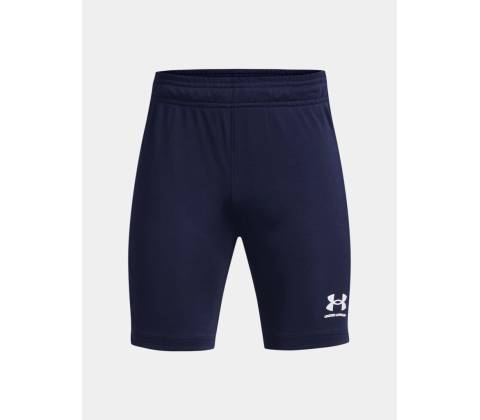 Under Armour modrá modrá