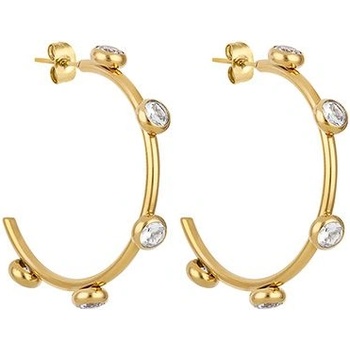 Daniel Klein Дамски обеци Daniel Klein DKJ. 3.30004-2 (DKJ.3.30004-2)