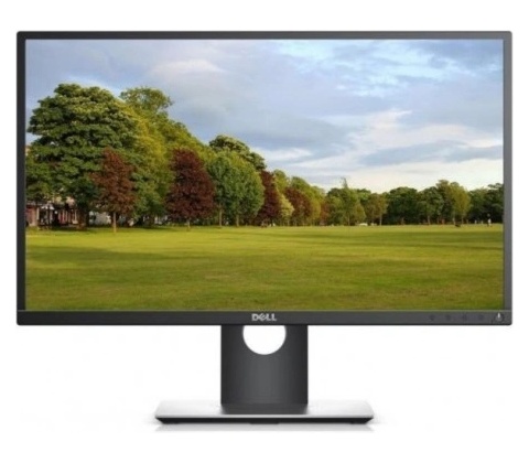 Dell P2417H