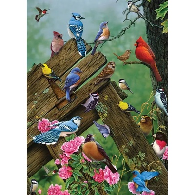 Cobble Hill - Puzzle Birds of the Forest - 1 000 piese