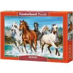 Castorland Пъзел Castorland от 2000 части - Зовът на природата (C-200702-2)