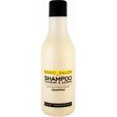 Stapiz Basic Salon Flowers & Keratin Shampoo Šampón na kvety a keratín 1000 ml