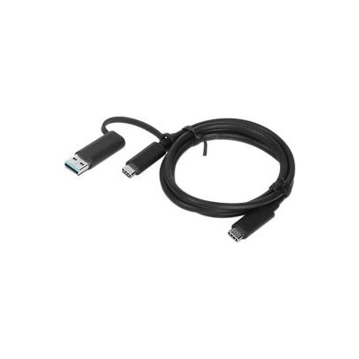 Lenovo 4X90U90618 USB-C / USB-A+USB-C Hybrid, 1m