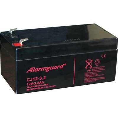 Alarmguard 12V 3,2Ah 48A