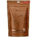 Cure Point CBD Immunity S Pamlsky pro psy 100 g