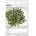 Abib Mild Acidic Ph Sheet Mask Jericho Rose Fit Маски за лице 30ml